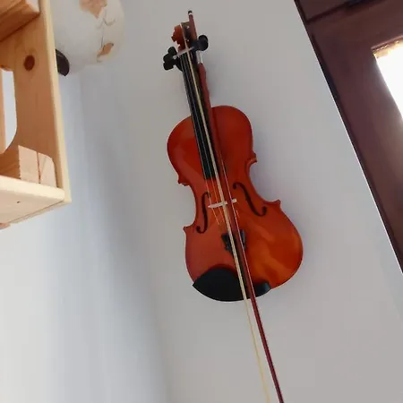 Valery 페제 디 그레코